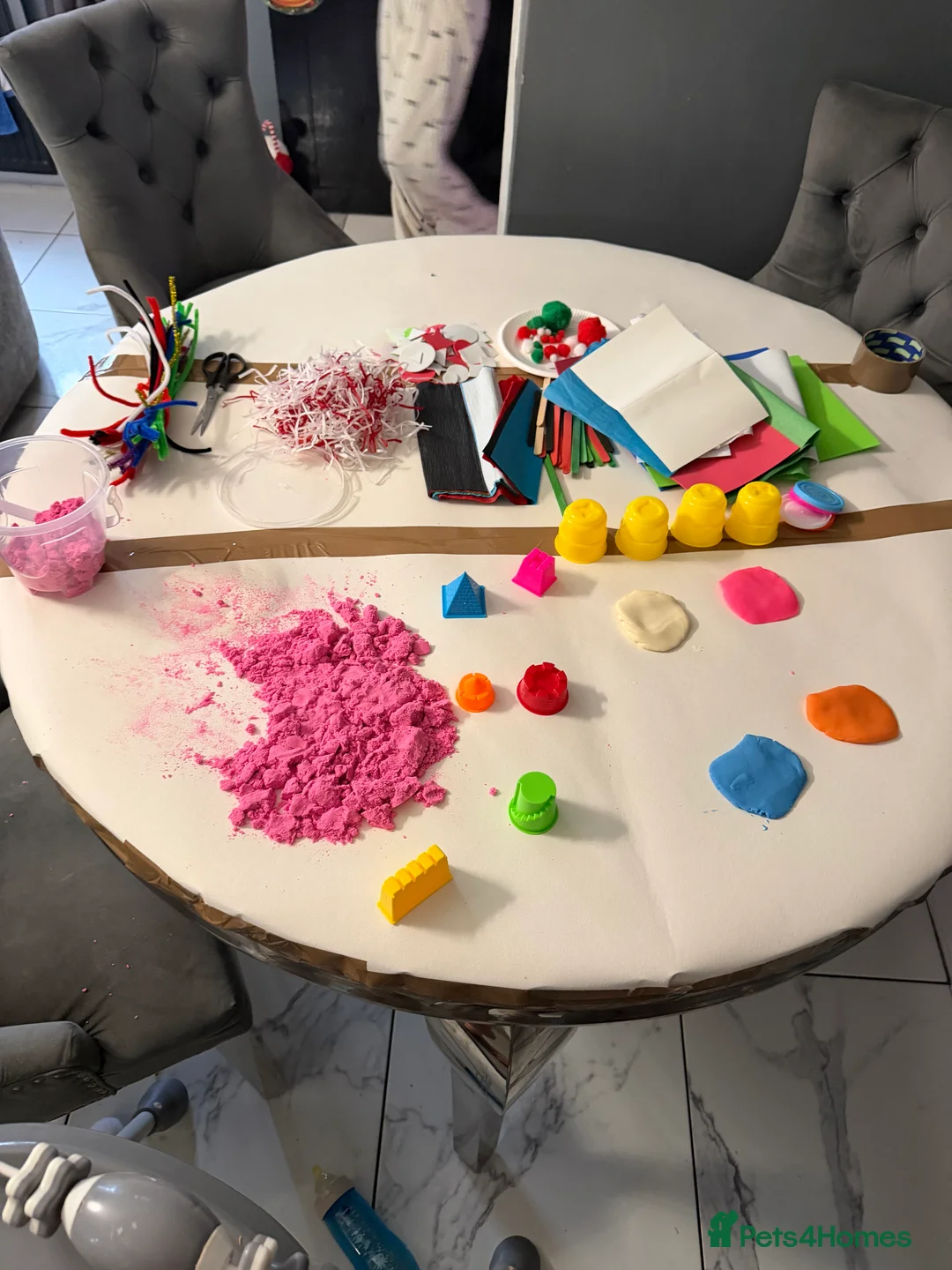 French Bulldog dogs for sale: Female French bulldog 5 months  - Advert 6