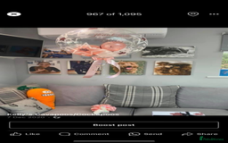 Cavapoo dogs for sale: Beautiful Health Tested F1 Cavapoos 🐶 - Image 30