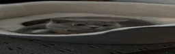 Brazilian Shorthair cats for sale: Milo Looking for a Loving Home  - Advert 3