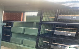 Parrots birds for sale: Breeding cages for parrots - Advert 7