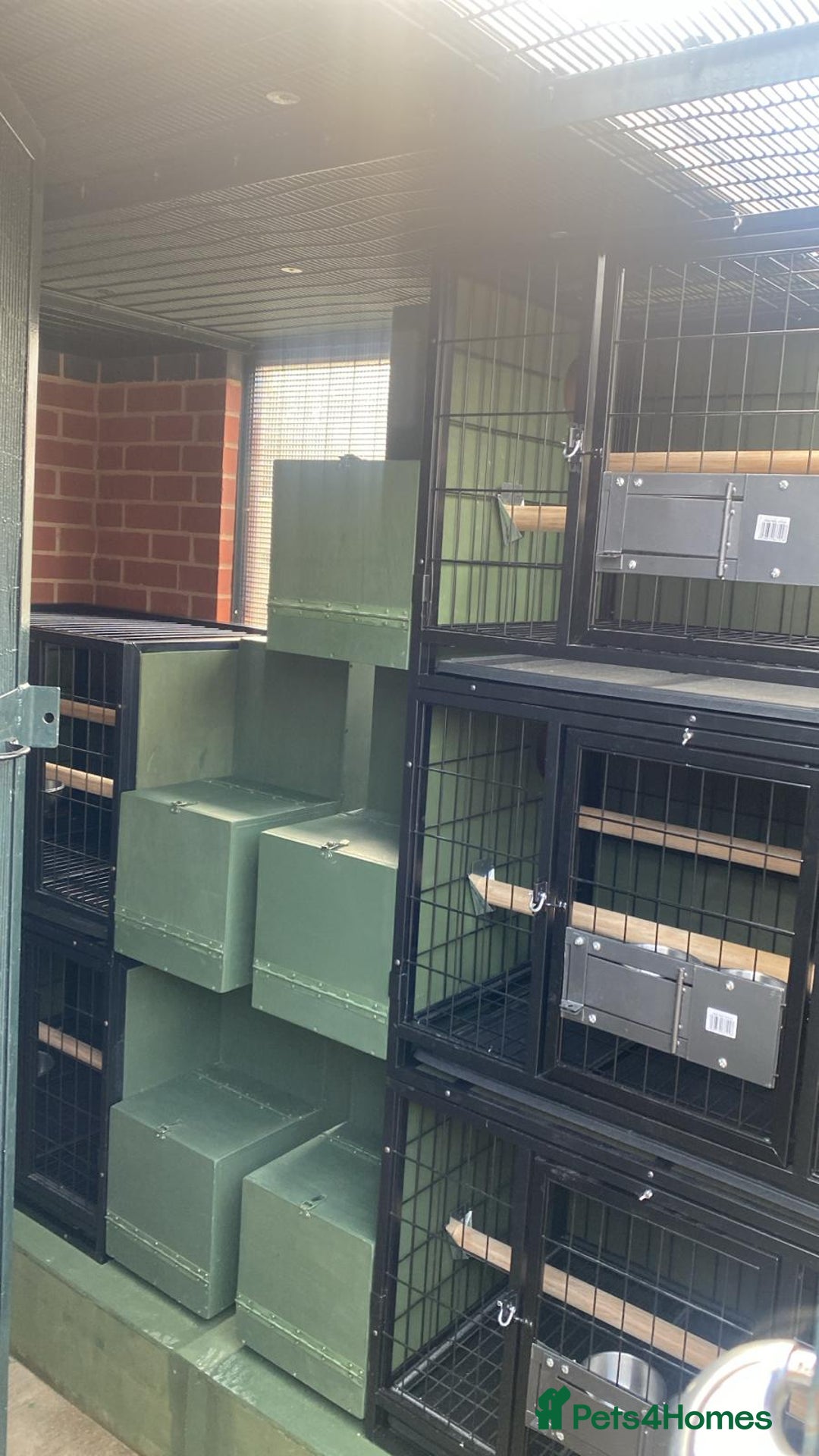 Parrots birds for sale: Breeding cages for parrots - Advert 7