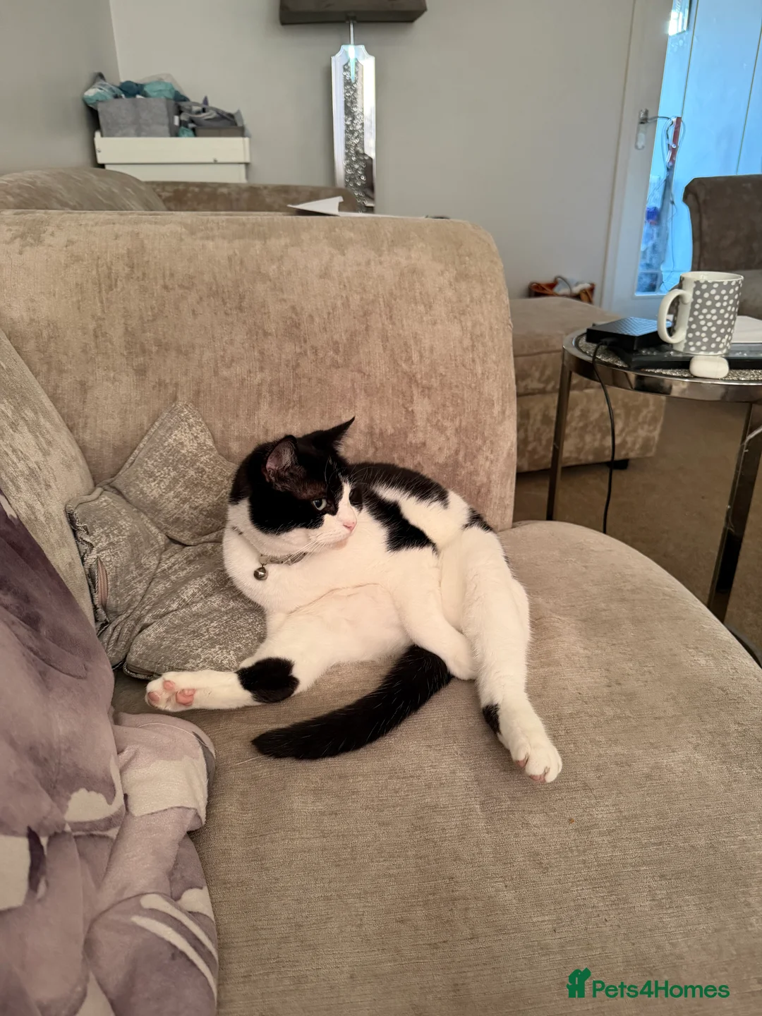 Gallery Image {{count}}