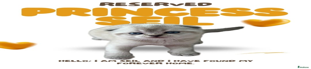 Siel