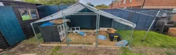 Mixed Breed rabbits for sale: 3 male rabbits and full set up  in Bristol - Advert 1