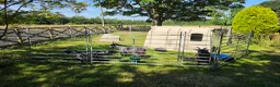 Goats livestock for sale: Three castrated male Pygmy goats in Penrith - Advert 12