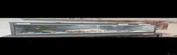 Leopard Gecko reptiles for sale: Breeding pair off lepord gekos  - Advert 1