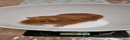 Guinea Pig rodents for sale: California x male and female Guinea pig babies  - Advert 9