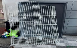 Guinea Pig rodents for sale: 2 x 100cm 2 tier guinea pig cages - Image 1
