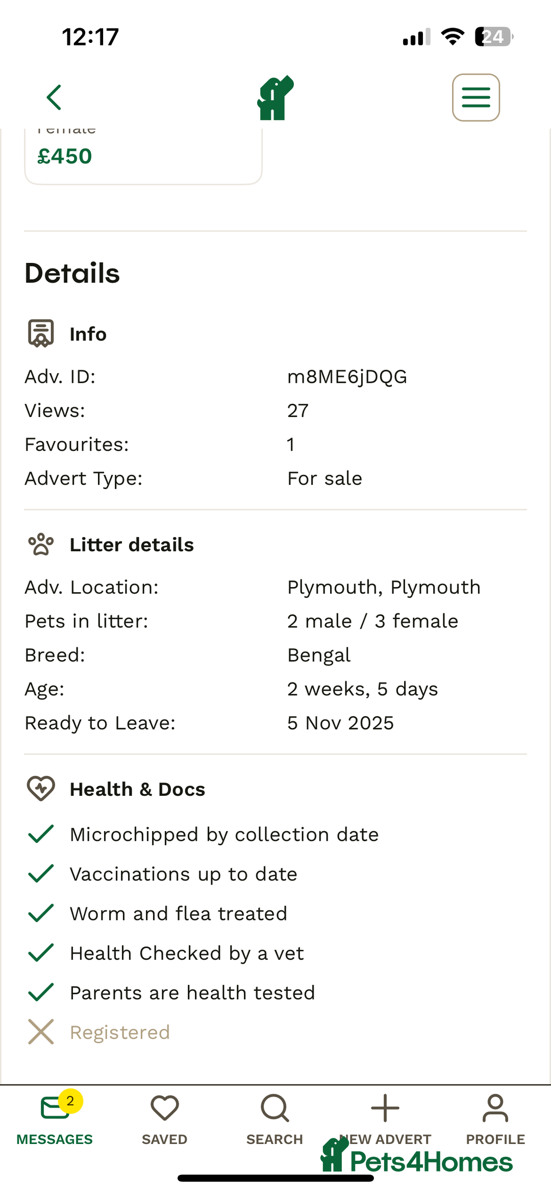 Bengal cats for sale: SCAMER DONT INTERACT  - Image 6