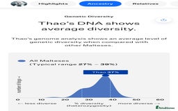 Maltese dogs for stud: ✨Exquisite DOLL KC Korean Maltese Stud DNA Clear ✨ - Image 9