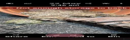 Tortoise reptiles for sale: Baby horsfield tortoises + setups  - Advert 3