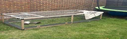 Hermann Tortoise reptiles for sale: Hermans tortoise in Shepperton - Advert 5