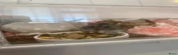 Hamster rodents for sale: dwarf hamster-needs rehoming  in Coventry - Advert 1