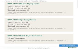 Rottweiler dogs for stud: HUGE HEALTH TESTED STUD - 0/0 hips 0/0 elbows in Bedford - Image 26