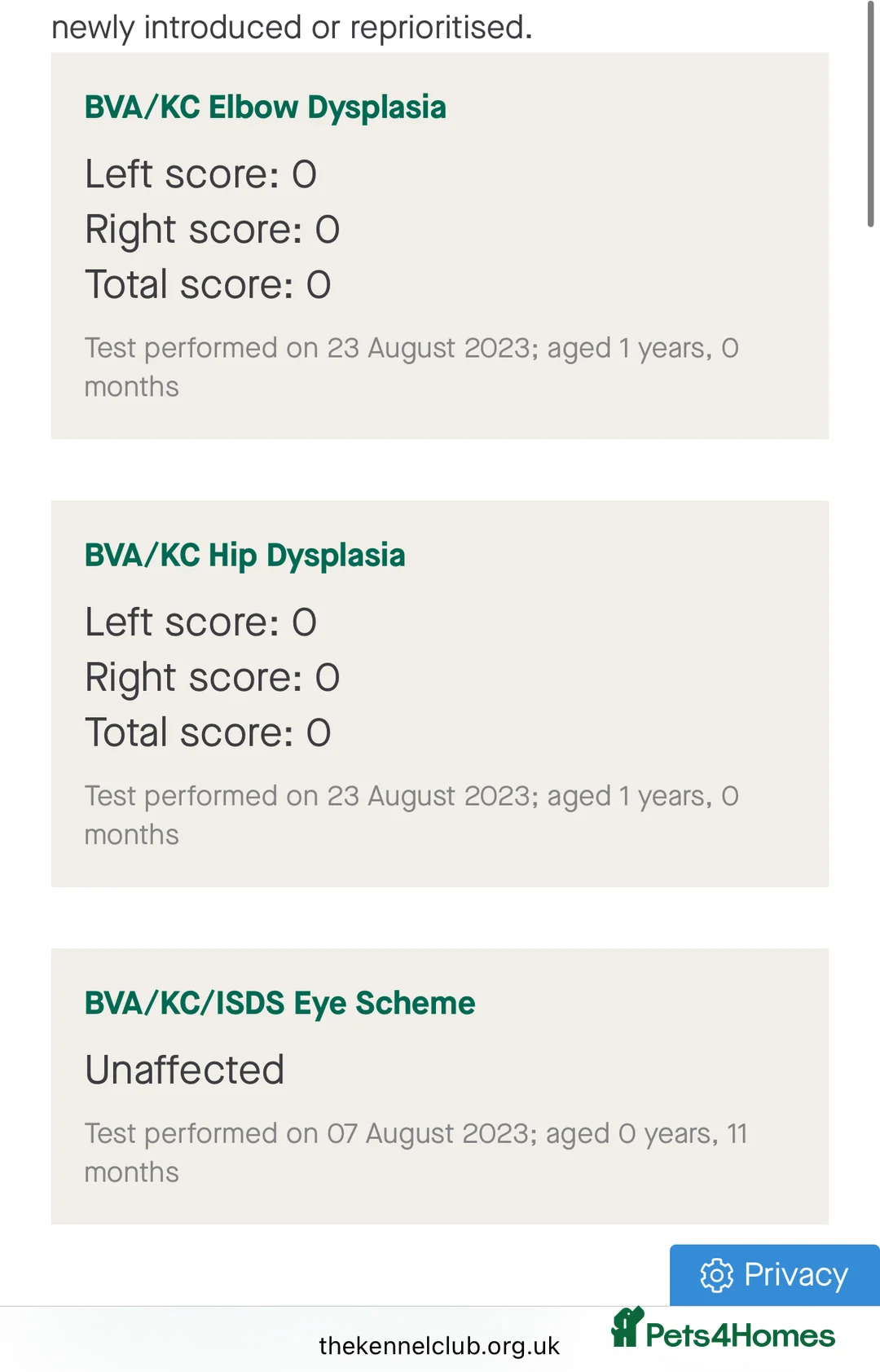 Rottweiler dogs for stud: HUGE HEALTH TESTED STUD - 0/0 hips 0/0 elbows in Bedford - Advert 26