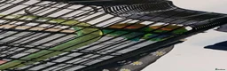 Lovebirds birds for sale: Pair of Compatible Lovebirds with Full Setup - Advert 5