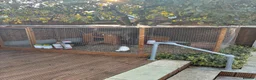 Mixed Breed poultry for sale: 5young hens 2 polish layers 3 silkies  - Advert 4