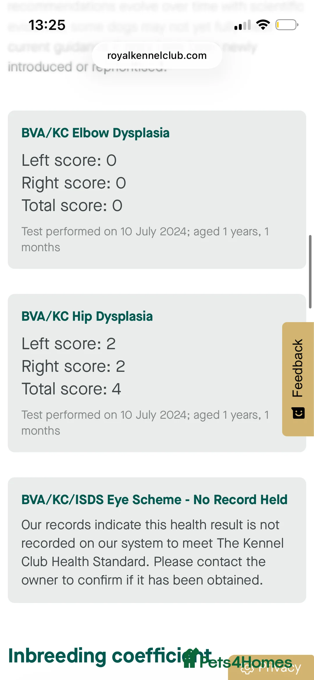 German Shepherd dogs for stud: Beautiful Fully health tested German shepherd stud - Advert 9