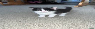 Missie