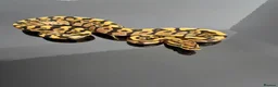 Python Snake reptiles for sale: Regius pythons/ ball pythos - Advert 13