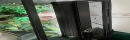 Gecko reptiles for sale: Tokay gecko full setup  in Bishop Auckland - Advert 6
