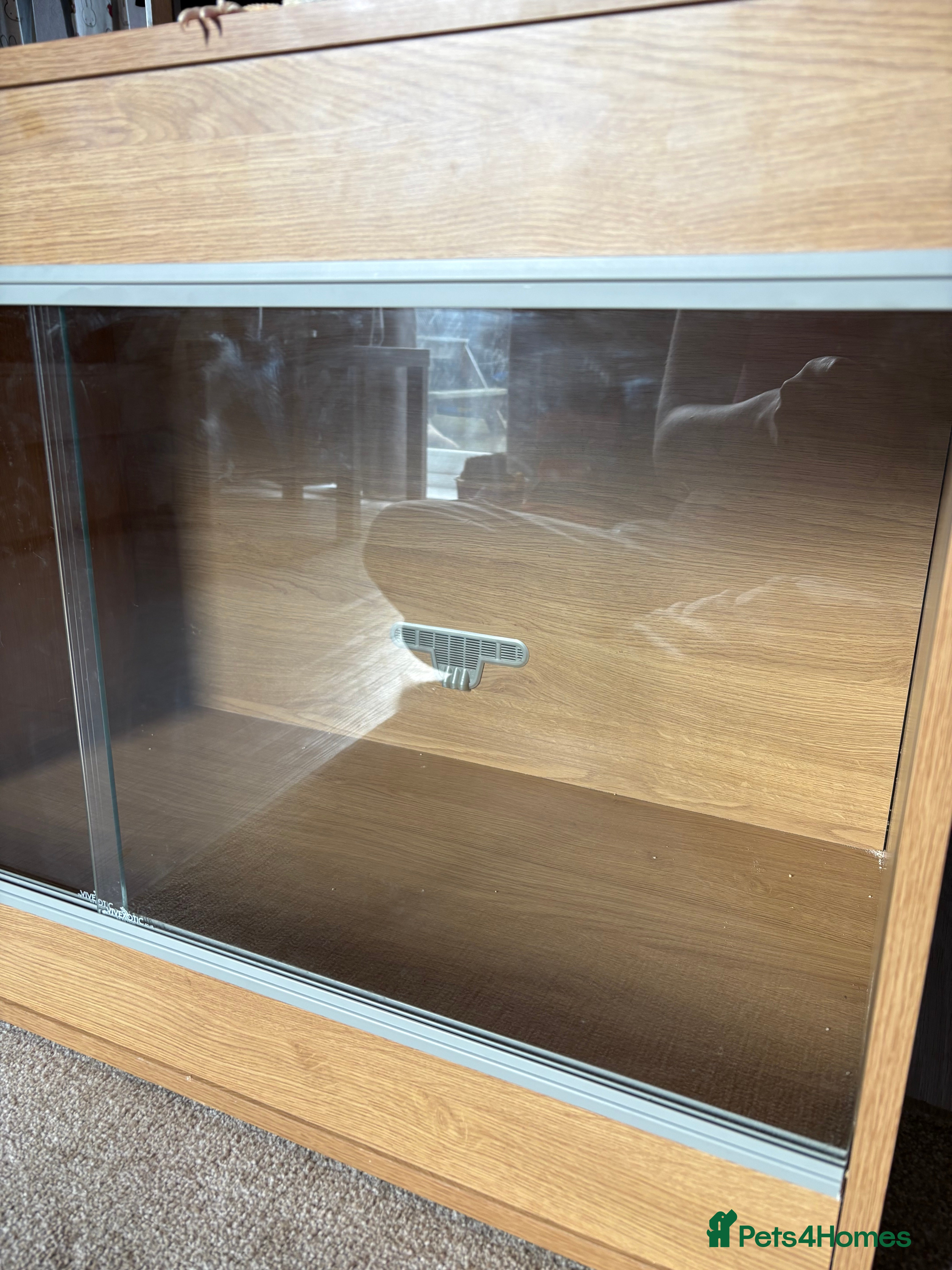 Budgerigars birds Starter kit vivarium - Advert 16