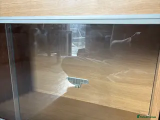 Budgerigars birds Starter kit vivarium - Advert 16