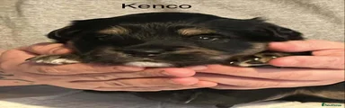 Kenco
