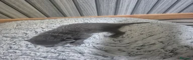 Gray girl 