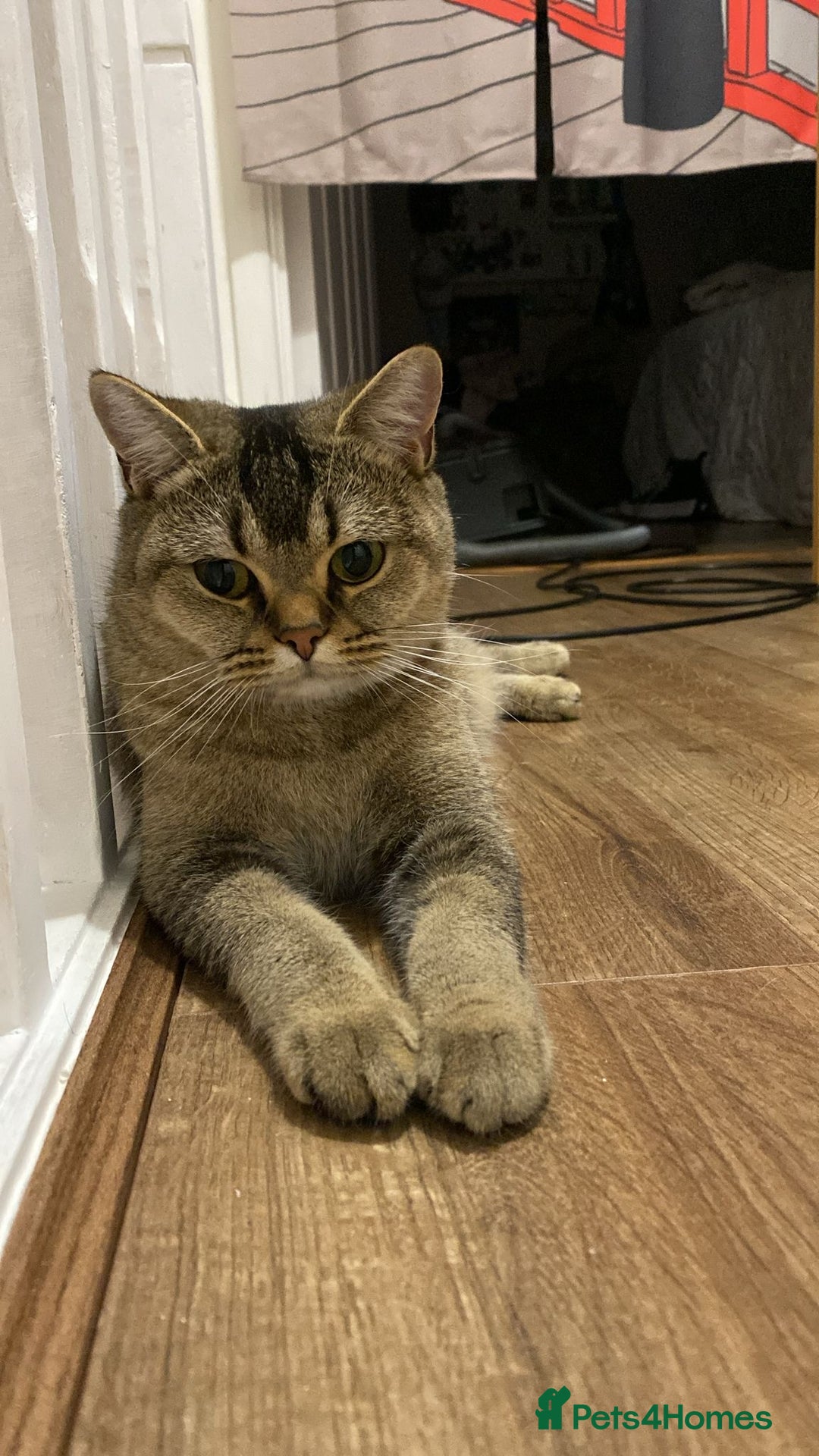 Gallery Image {{count}}