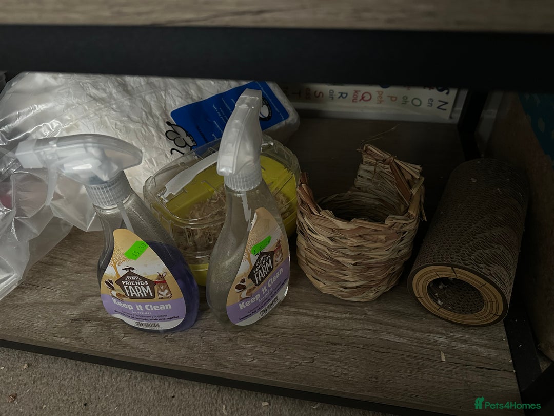 Hamster rodents for sale: Bucatstate 3.0 cage and accessories - Advert 5