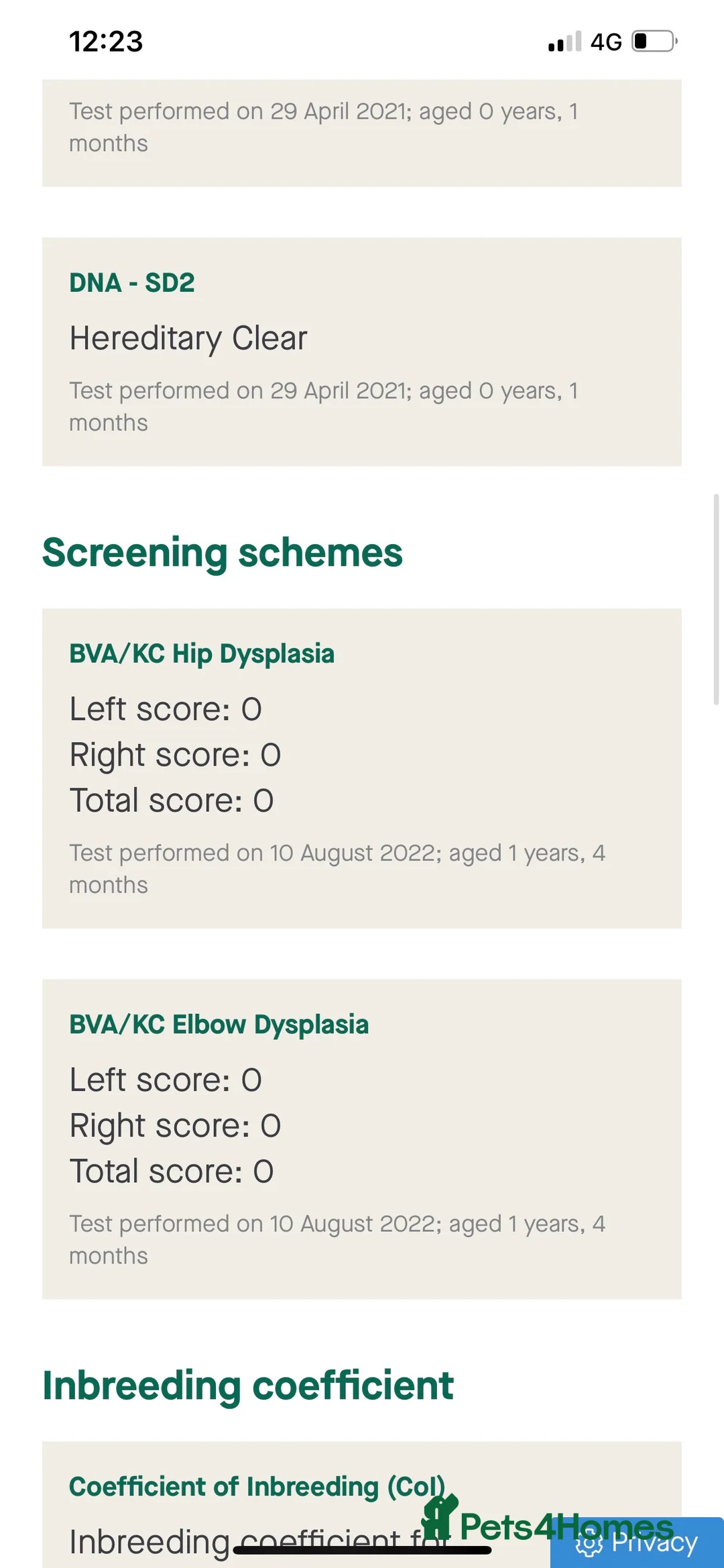 Labrador Retriever dogs for stud: fox Red extensively health tested 0-0 hips in Swansea - Advert 5