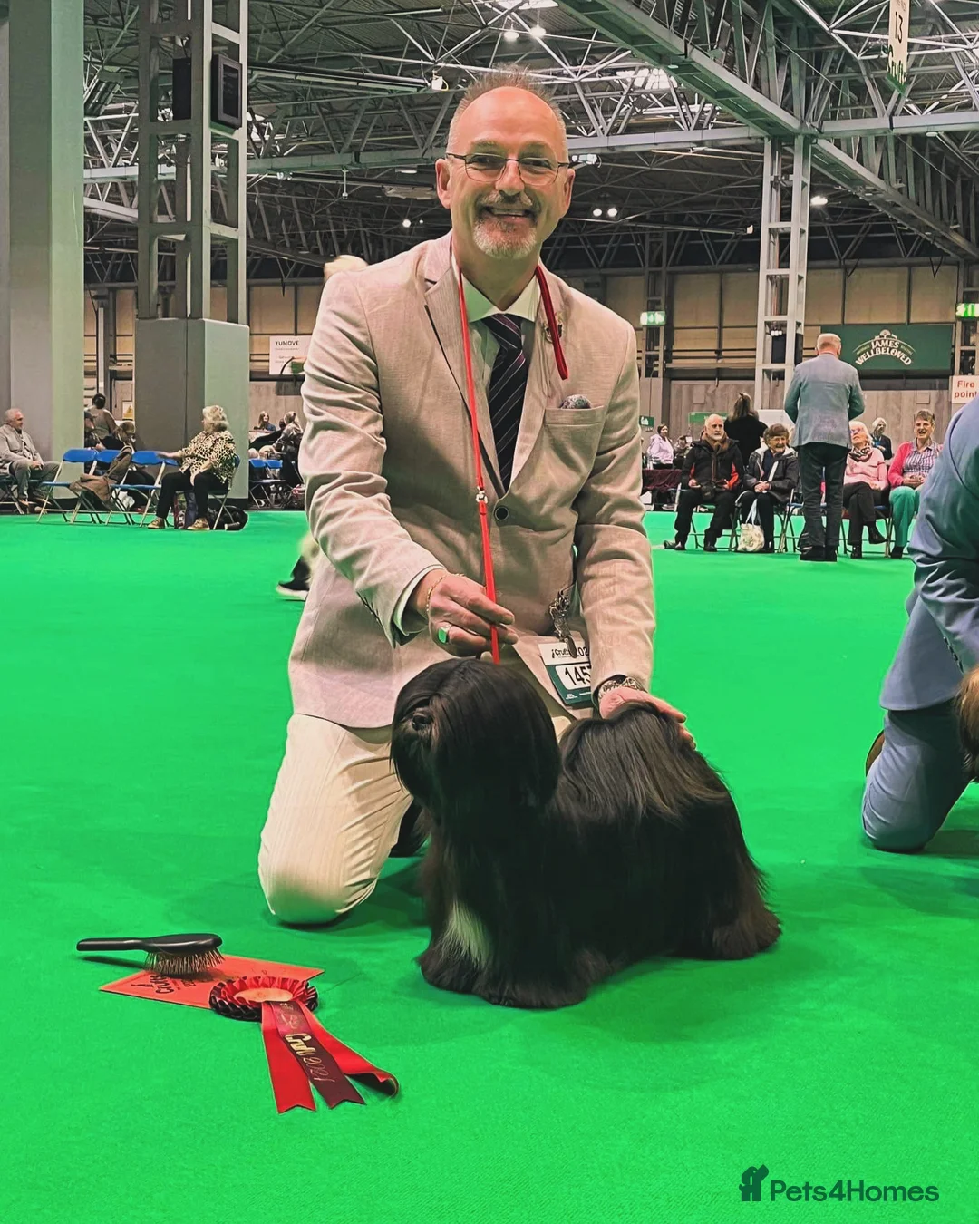 Gallery Image {{count}}