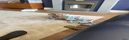 Miniature Dachshund dogs for sale: 1 year old Mini Dachshund looking for a new home in Hartlepool - Advert 1