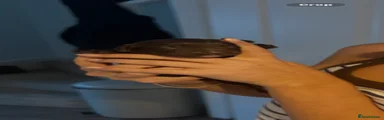 Cockapoo 1