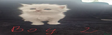 Persian 2