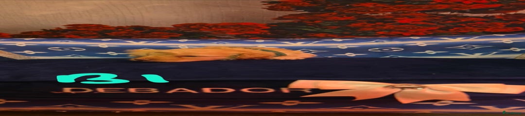 Miniature Poodle Puppy 1