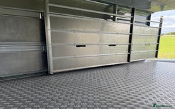 Cows & Bulls livestock for sale: Ifor Williams Livestock Trailer  - Image 7