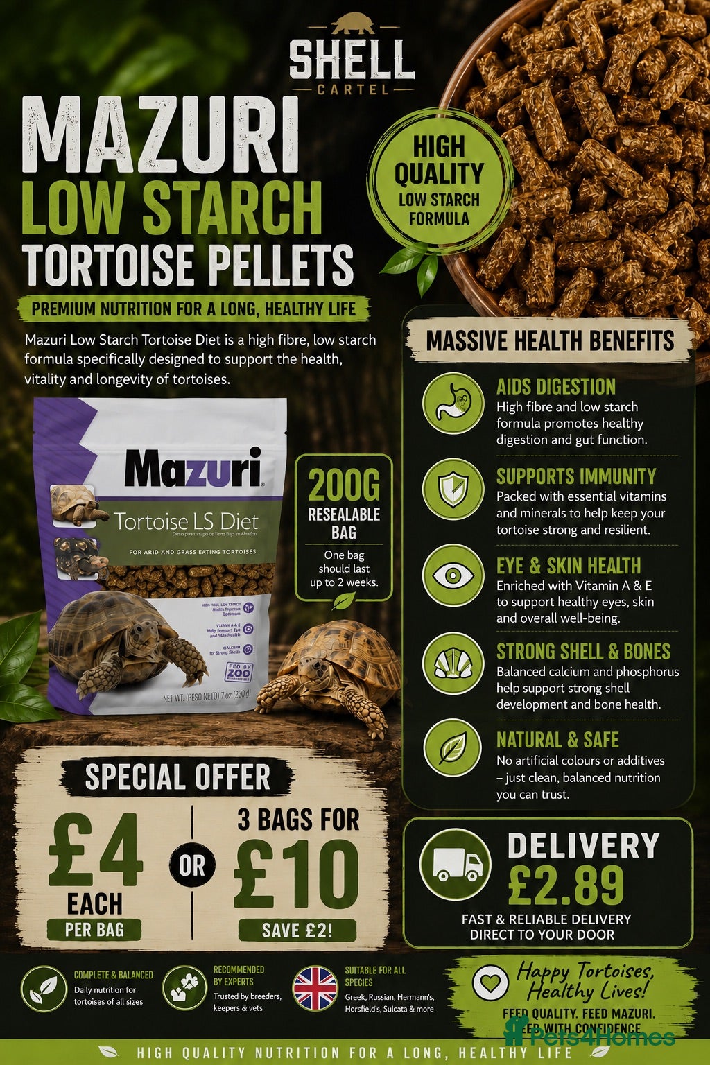 Tortoise reptiles Horsfield Hatchlings & Set Ups!! - Advert 2