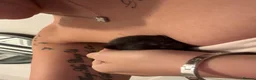 Maine Coon cats for sale: 4 BEAUTIFUL mainecoon x bengal kittens for sale - Advert 9