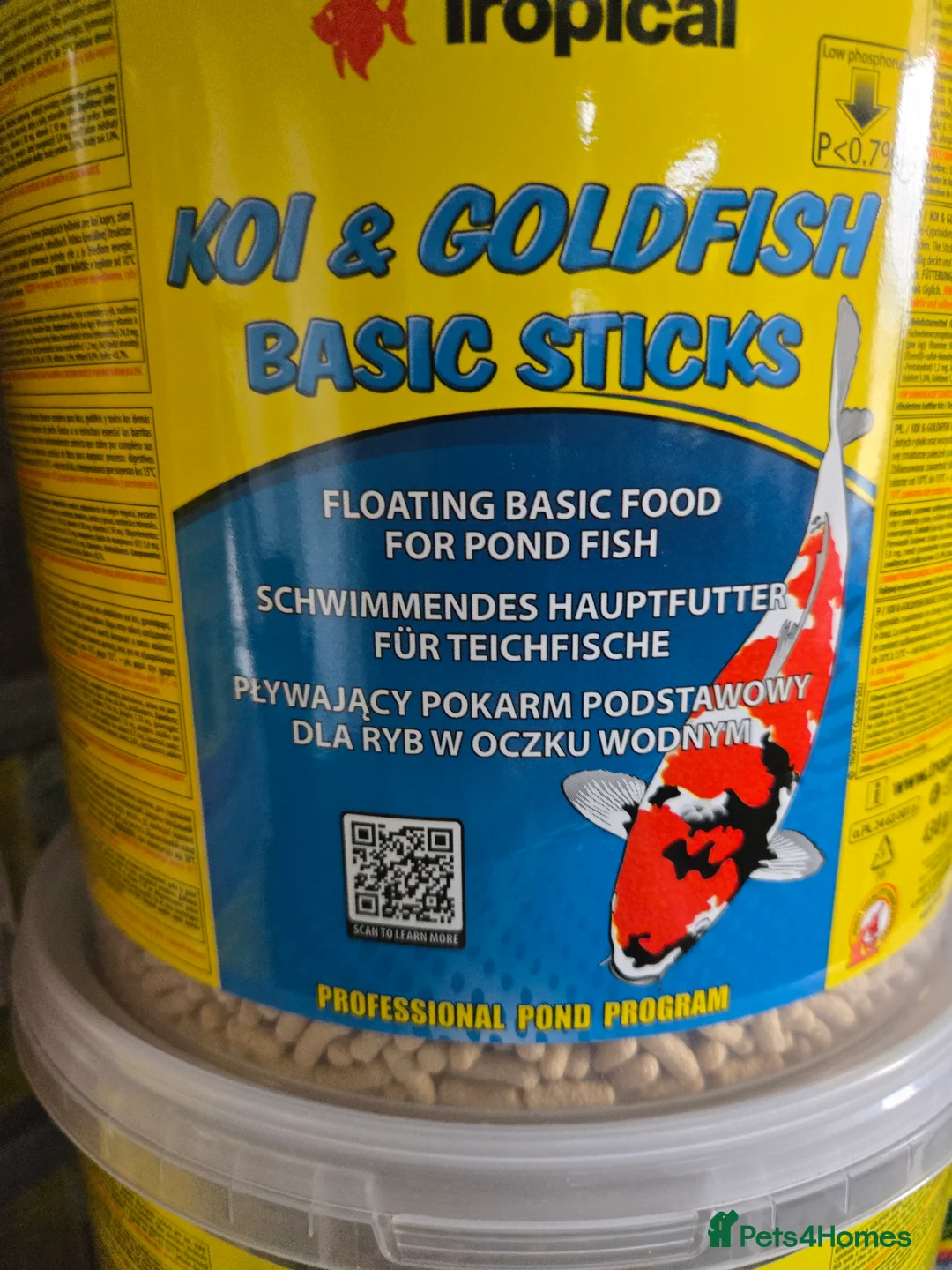 Pond Fish fish for sale: Pond sticks and sturgeon foods - Advert 2
