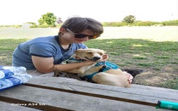 Mixed Breed dogs for adoption: Cute friendly young Truffles-Suffolk/Essex Border in Colchester - Image 11