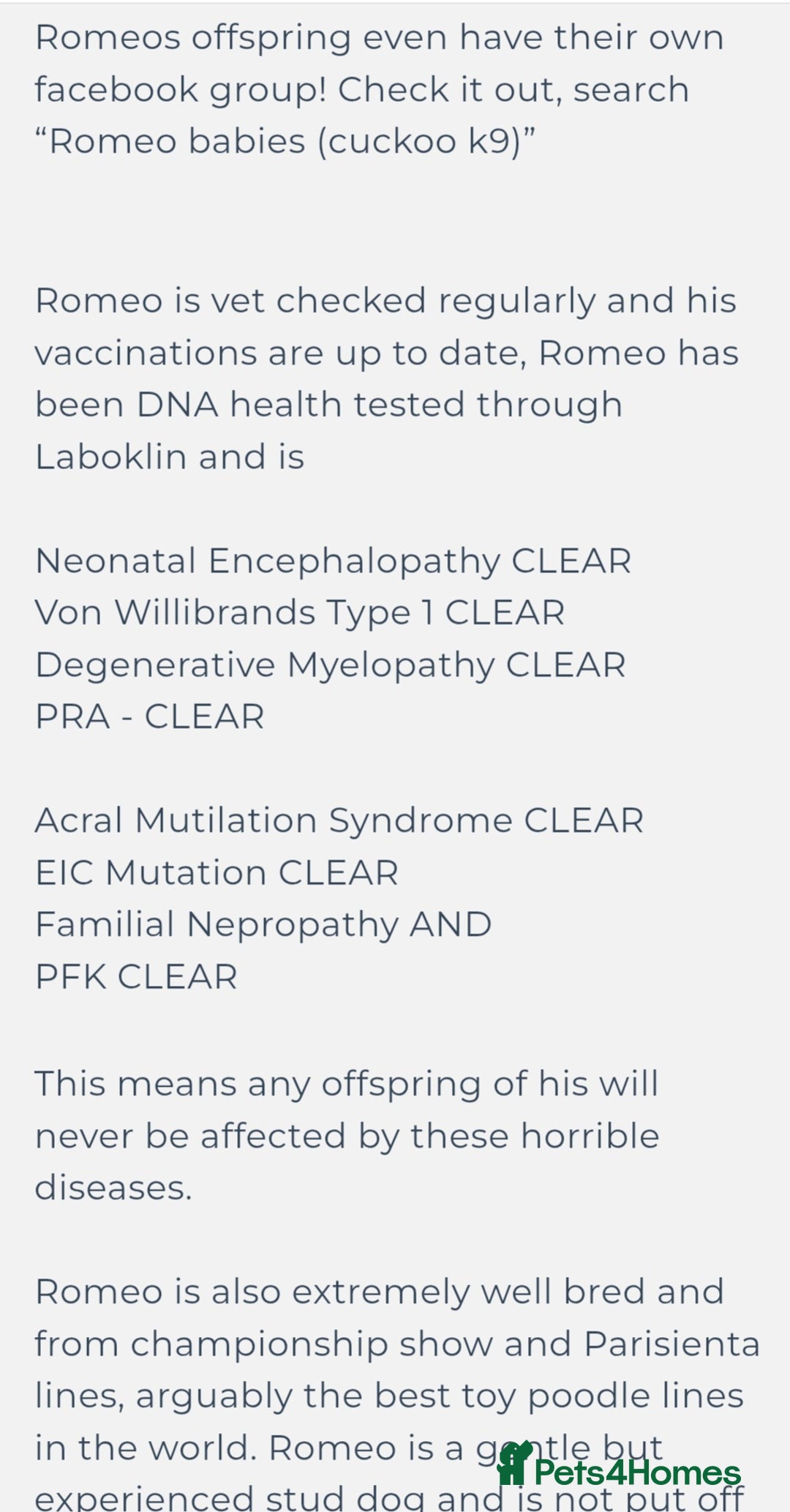 Maltipoo dogs for sale: Beautiful F1B Toy Maltipoos  - Advert 14