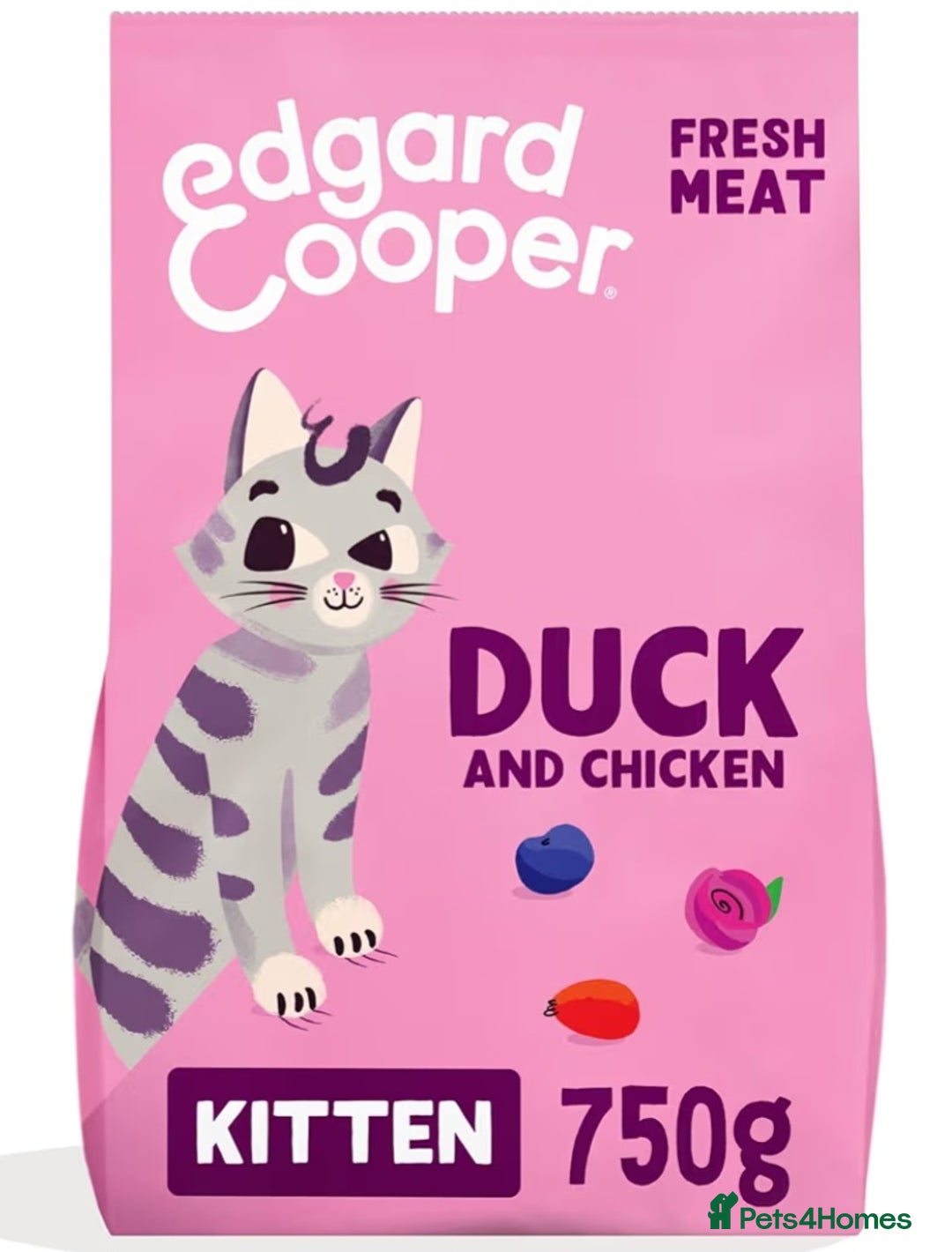 Mixed Breed cats for sale: Purrfect Rare Elf Eared Fur Babies Ready 14th Feb - Advert 13