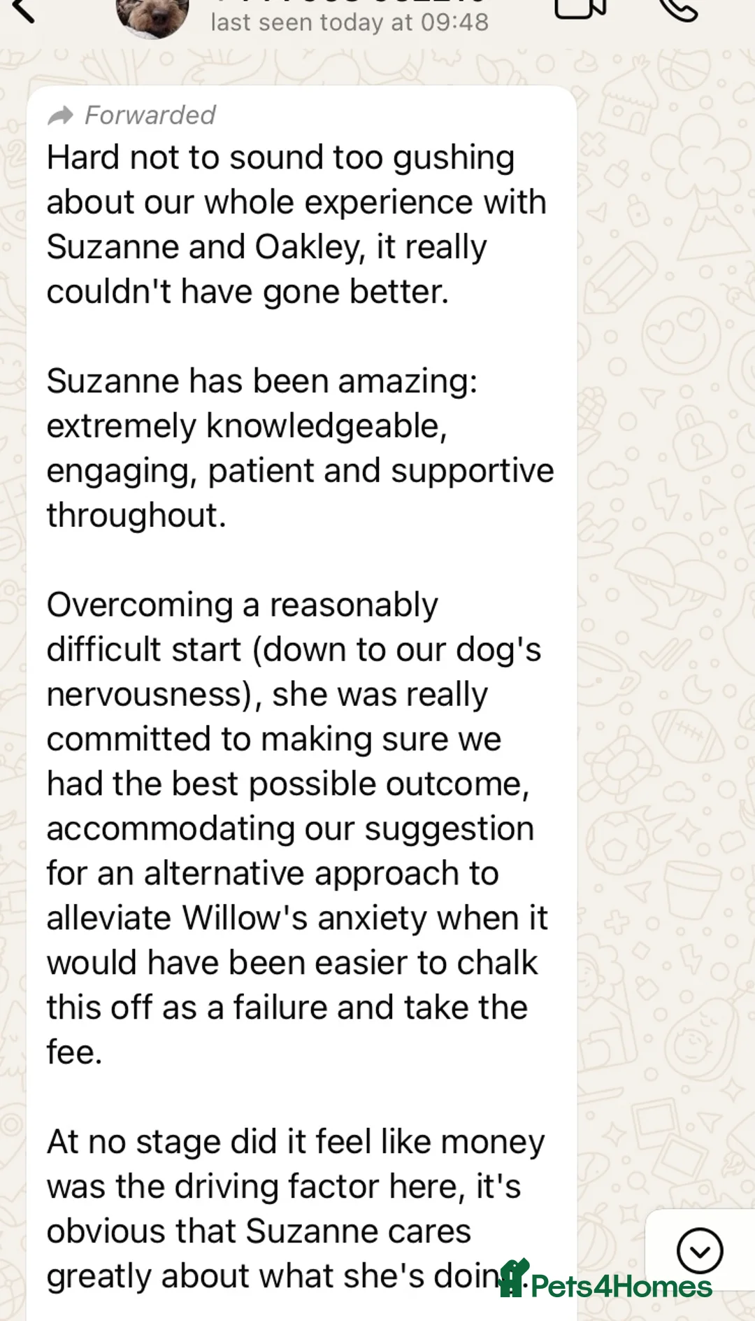 Cockapoo dogs for stud: TRICOLOUR F1 PROVEN ATAT CERTIFIED COCKAPOO STUD in Bromley - Advert 5