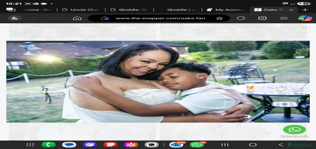 Gallery Image {{count}}