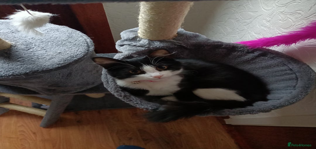 Gallery Image {{count}}