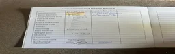 Cockapoo dogs for sale: Narla female cockerpoo  in Glastonbury - Advert 2