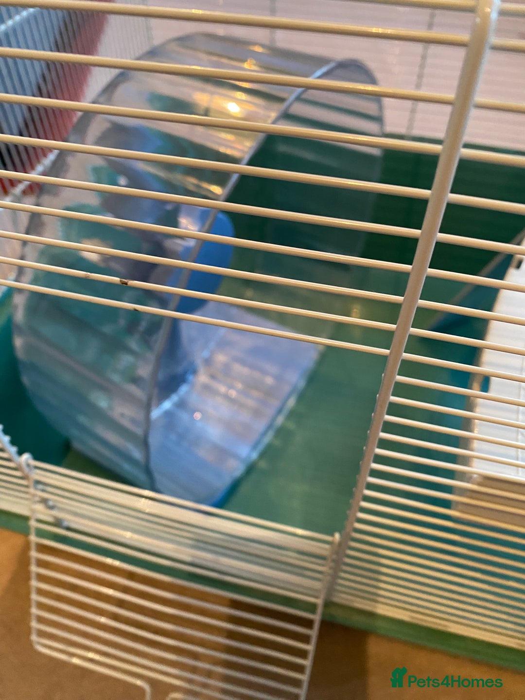 Hamster rodents for sale: Pets at home cage and wheel - Image 2