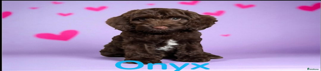Onyx